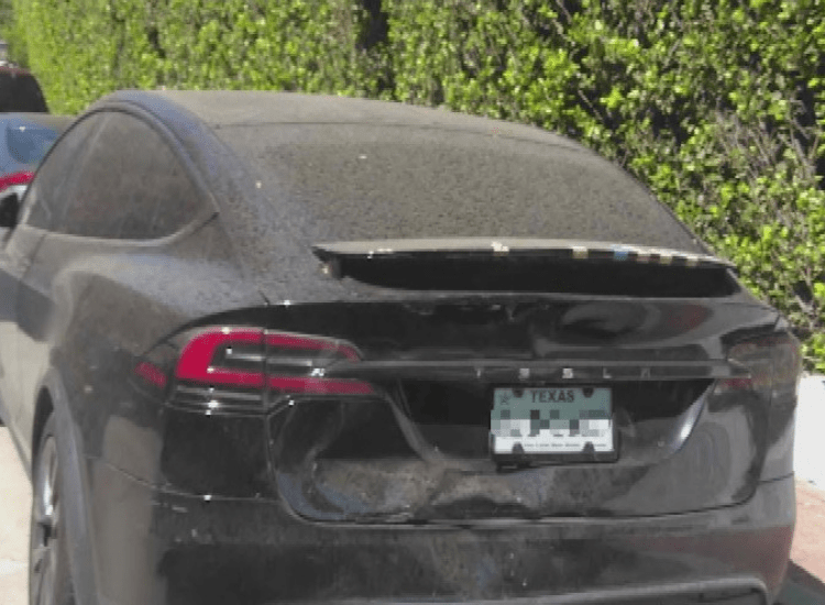 Hollywood Hills Horror: Disturbing New Clues in the D4vd Tesla Death&nbsp;Case