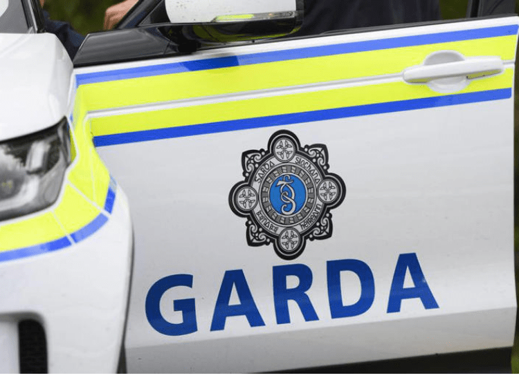 Criminal Mastermind “Mr Big” Arrested in Dublin Amid Explosive Gangland&nbsp;Crackdown